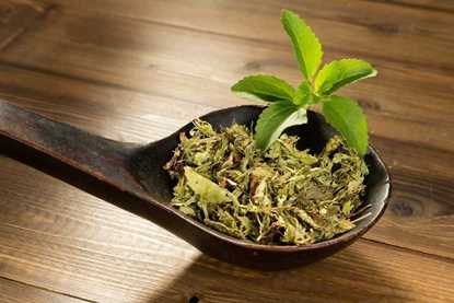 Stevia resmi